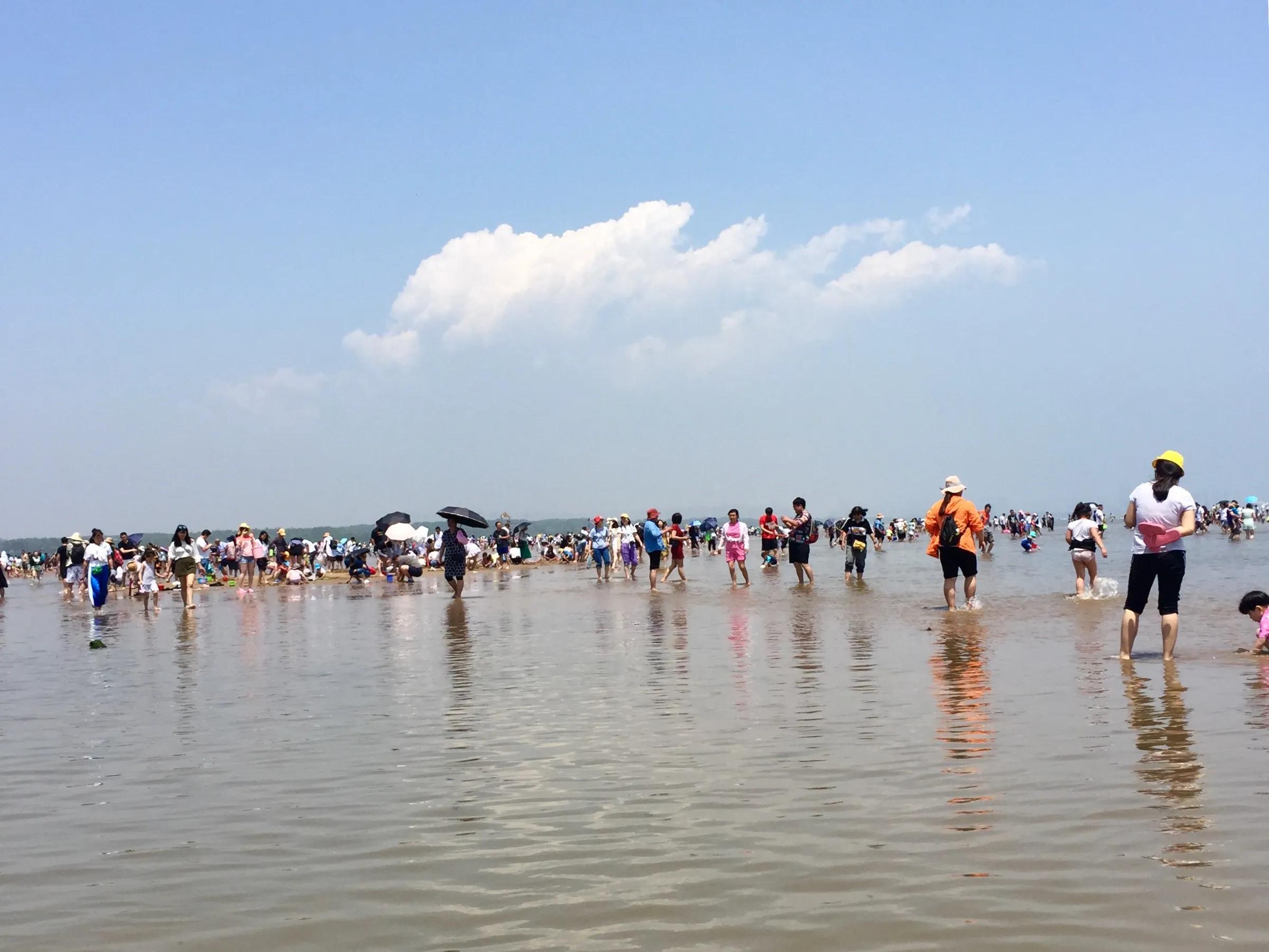 自驾北戴河海边攻略,北戴河旅游赶海