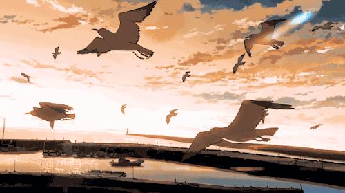 新海诚跌落神坛,新海诚还会出吗