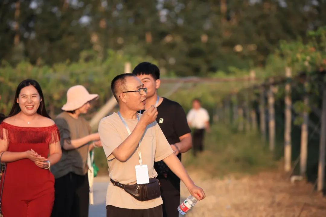 民权葡萄酒现状,天明民权葡萄酒的未来
