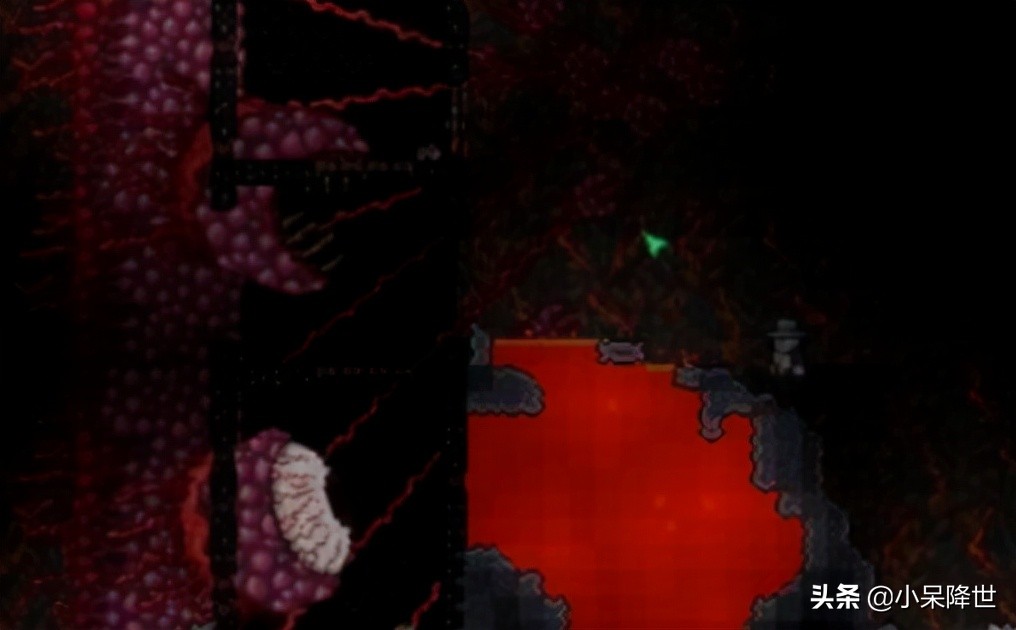 泰拉瑞亚boss肉山后召唤物怎么做,泰拉瑞亚打完肉山后该打什么boss