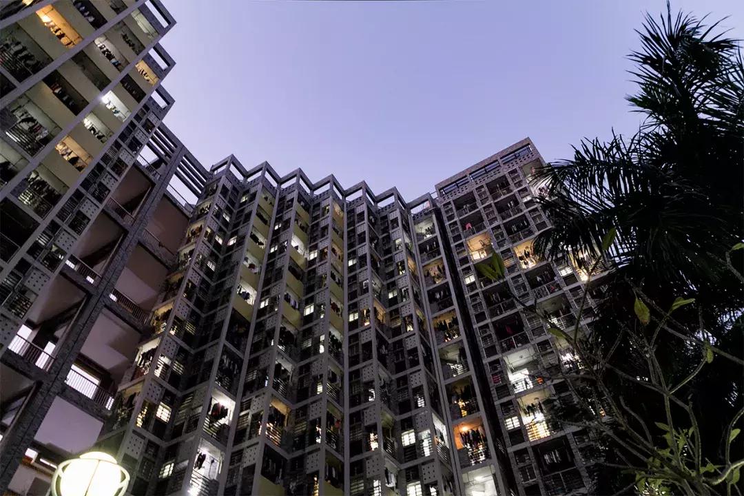 深圳大学游玩攻略一日游,深圳大学打卡攻略