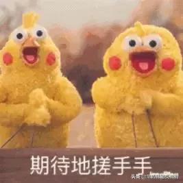 嘘禁止入境国语完整,嘘禁止访问