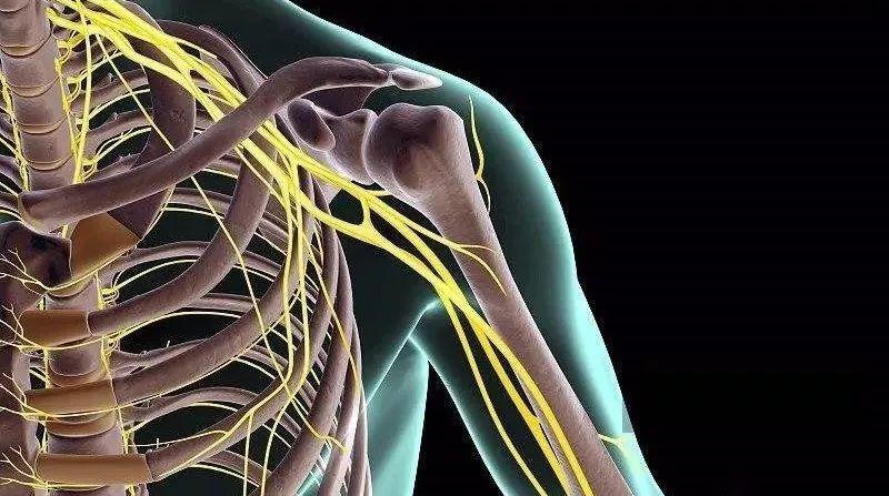 肌肉紧张？手臂发麻？你需要这套简单实用的瑜伽理疗方案