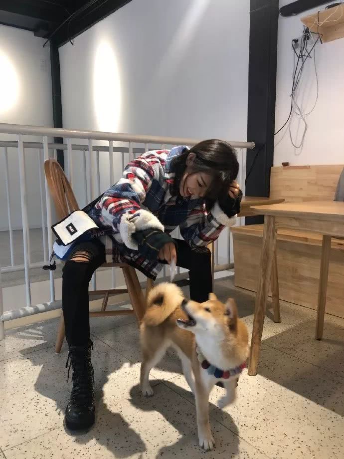 代古拉k变现能力,代古拉K抖音粉丝