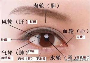 儿童假性近视一个暑假能恢复吗,小学生假性近视如何矫正