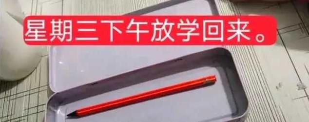 晒晒孩子的文具盒,一年级孩子文具盒变化