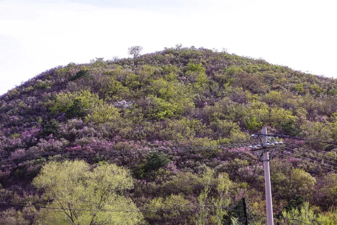 辽宁阜新游玩攻略,辽宁阜新市旅游攻略