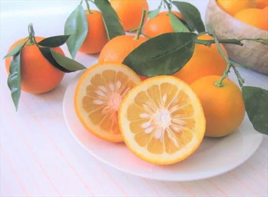 为什么日本人喜欢生吃东西,日本人为什么喜欢吃生肉