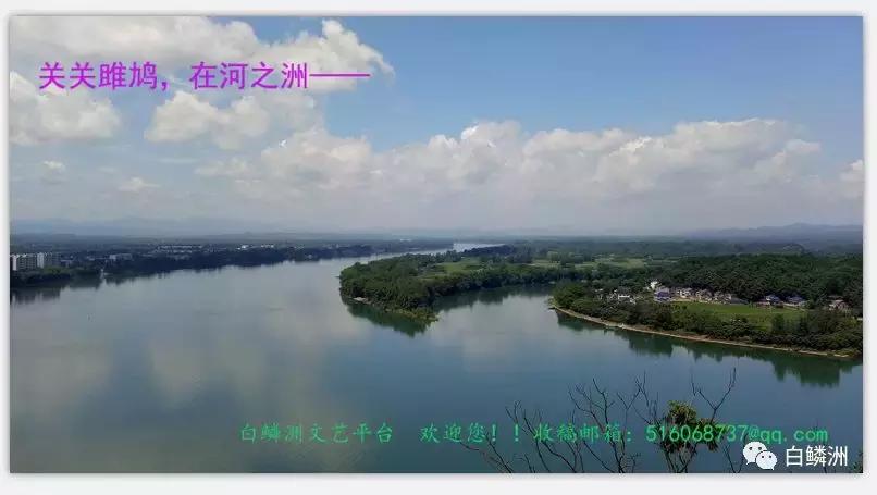 校园——桃源实验小学152班星光灿烂成长系列之二