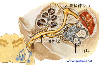 面部吹点冷风,发现眼睛闭不上了,嘴巴也歪了,到底是咋回事儿?