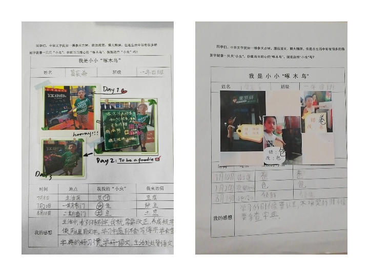 啄木鸟在行动错别字大全,啄木鸟在行动找错别字活动