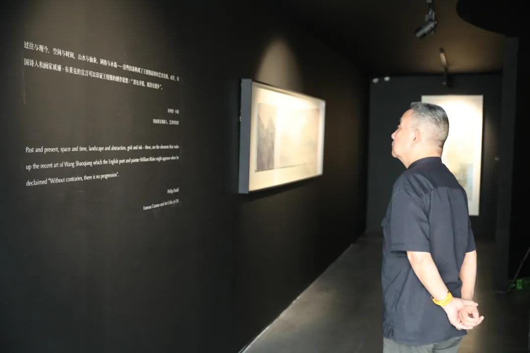 王绍强双年展,王绍强作品展