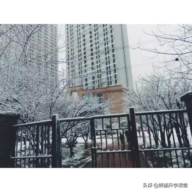 重庆大学城第一中学,重庆大学城第三中学校