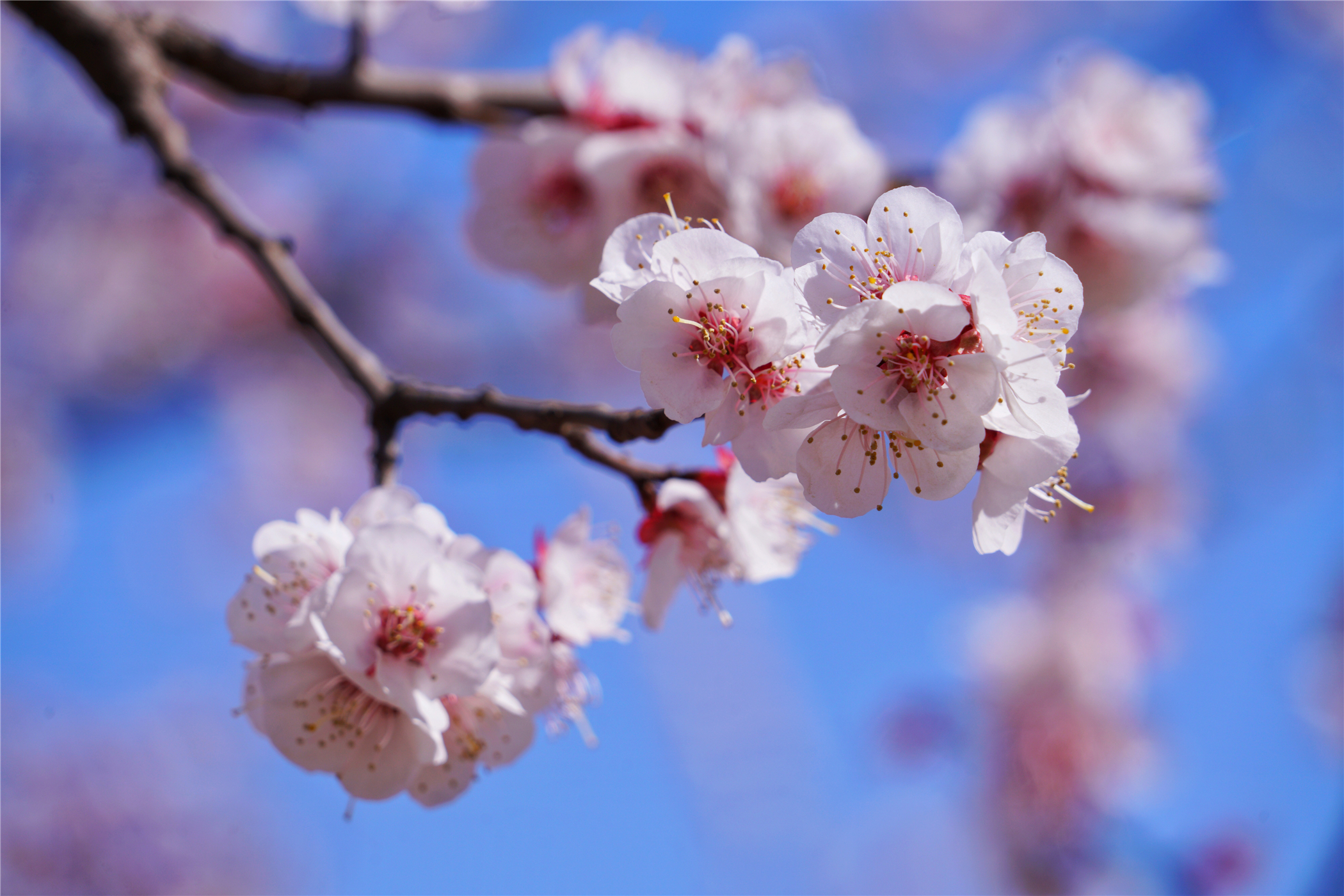 河北这座文旅小城值得一去,河北的一座小县城