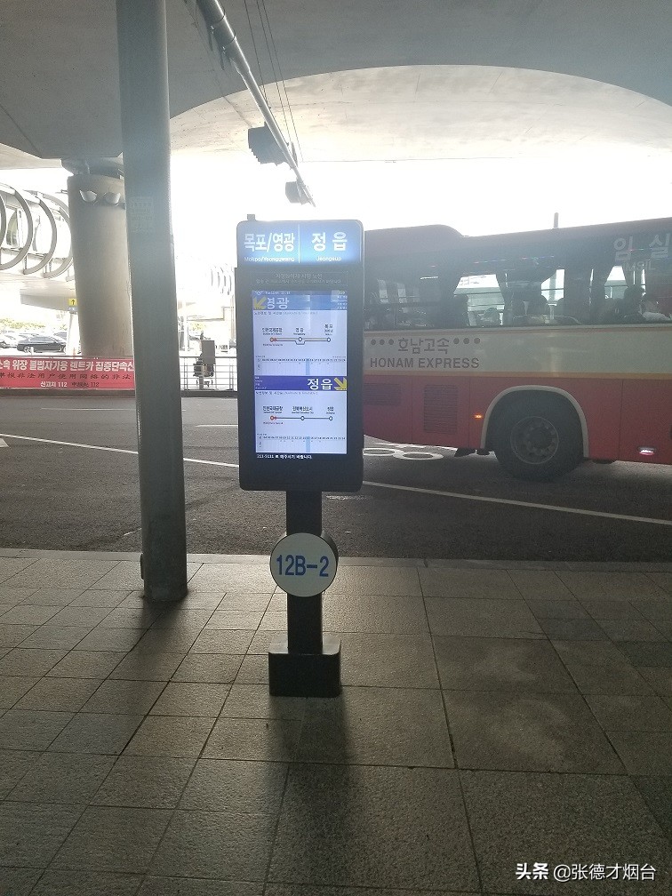 走马观花深度解析,走马观花日本版