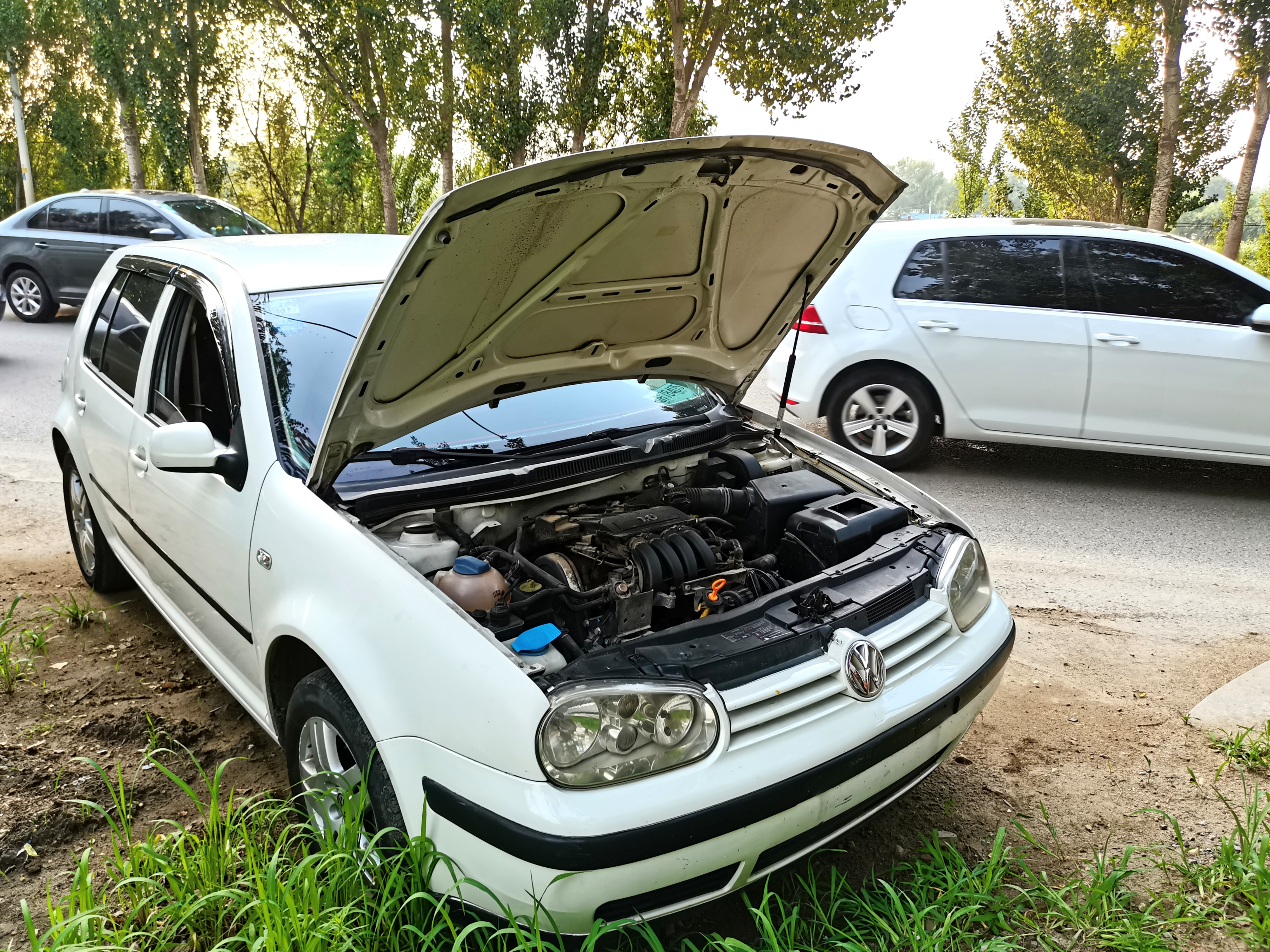 高级车大众车,很高级的大众车