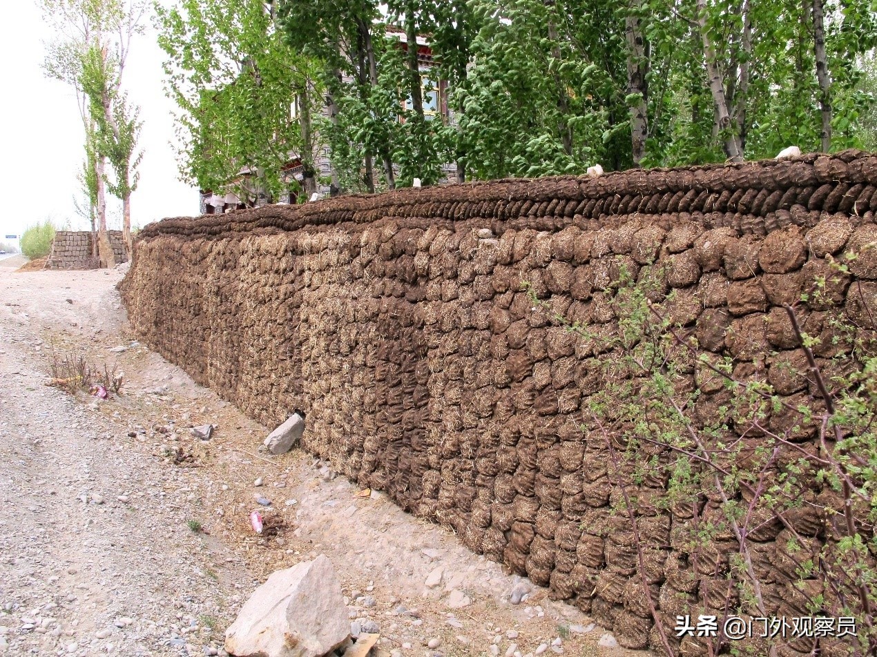 为什么到西藏一定要去阿里,不去拉萨能到那曲吗