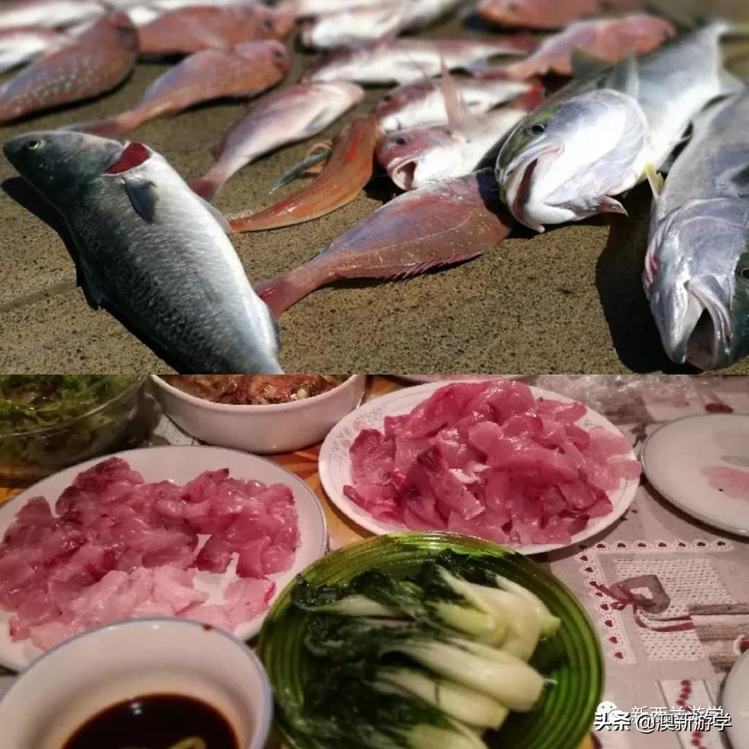 奥克兰旅游让生活更美,奥克兰旅游攻略海边穿搭