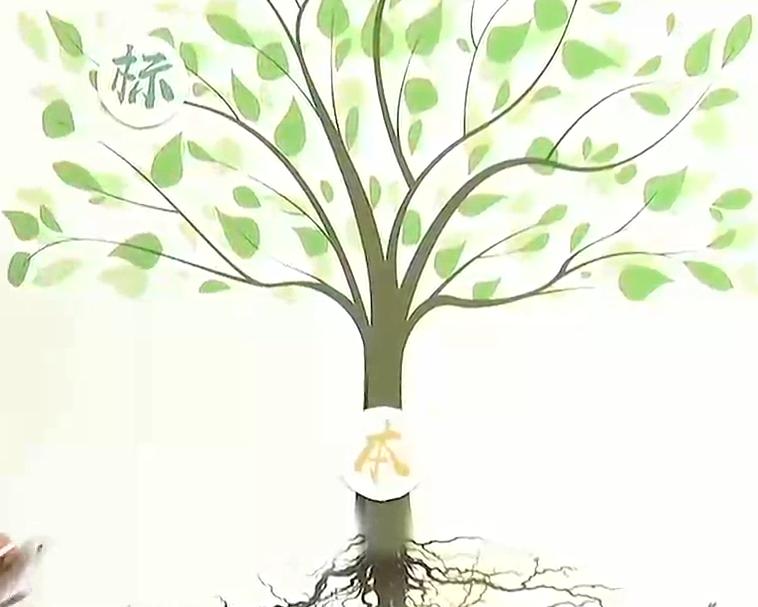 患了胆囊息肉怎么治?中药调理疗效好