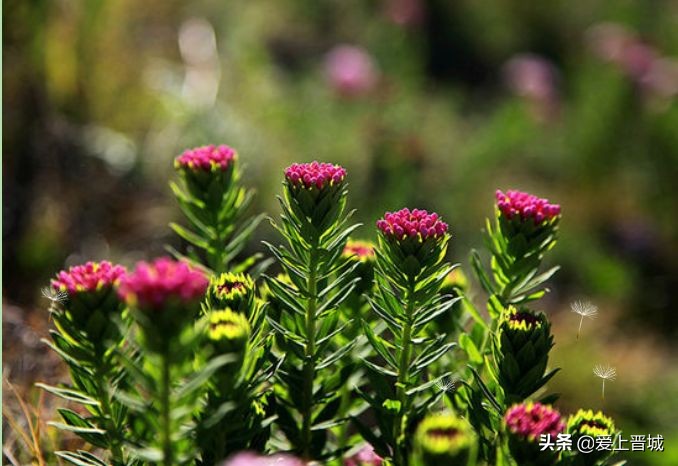 晋城有个啥山,晋城有什么山有名