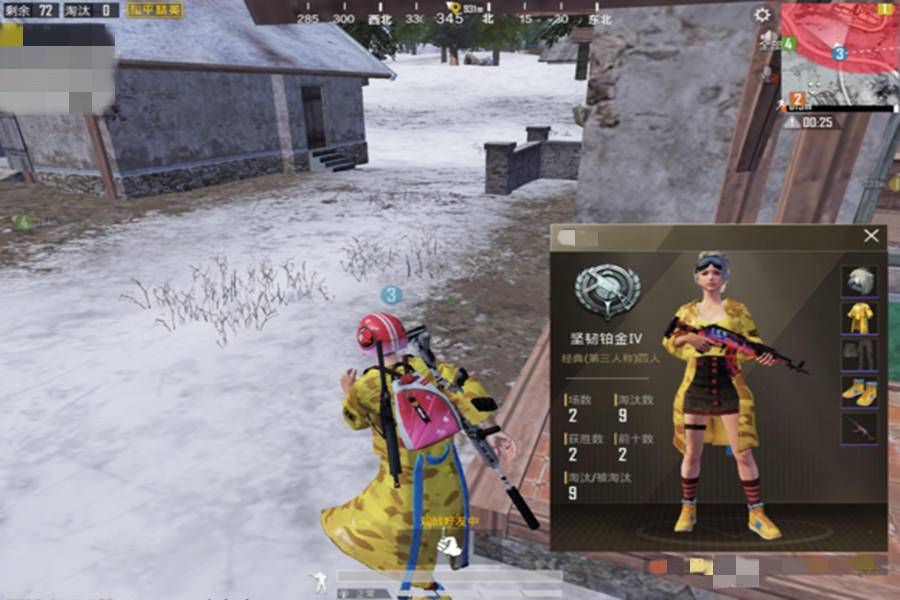 和平精英甜蜜菠萝配什么最好,和平精英菠萝衣服游戏效果