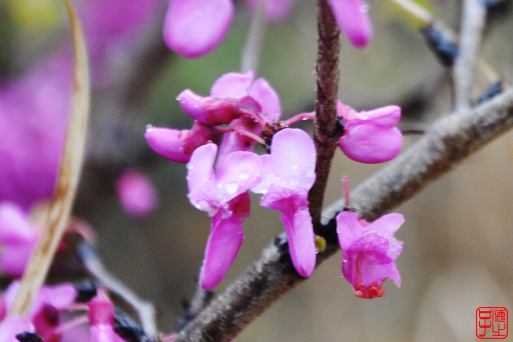 浙江母亲河钱塘江,浙江台州春风