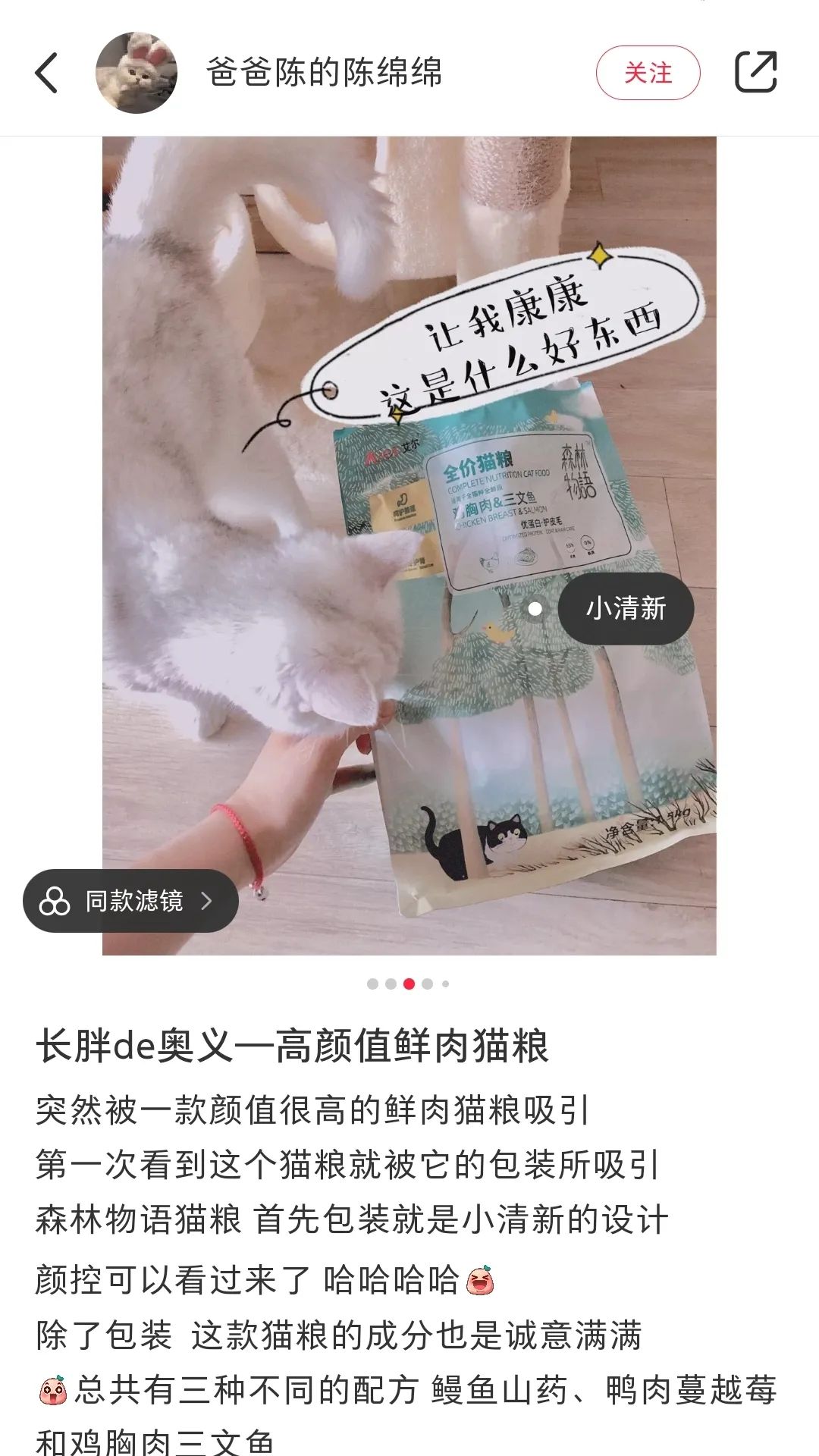 小红书推荐猫粮,猫粮小红书达人