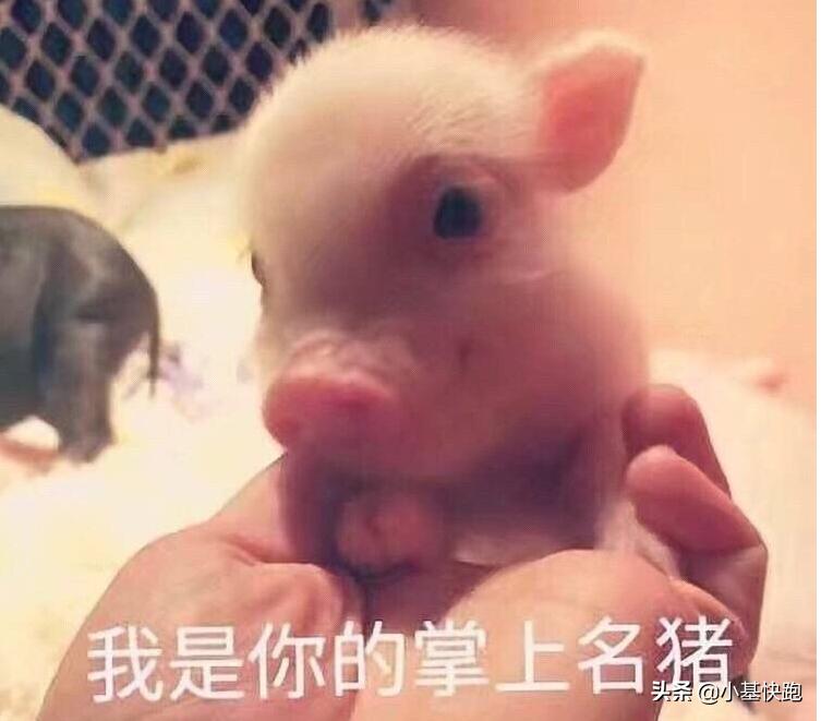 段子手文案搞笑,段子手文案素材库