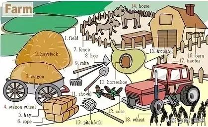 34张图让孩子记住英语中所有生活用词！老师惊呼，太值了