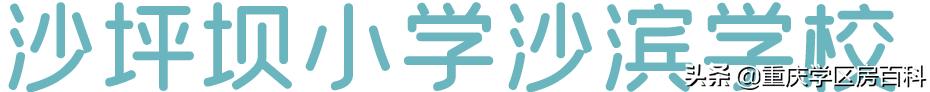 2022年沙坪坝区小学划片,沙坪坝区小学划片大全