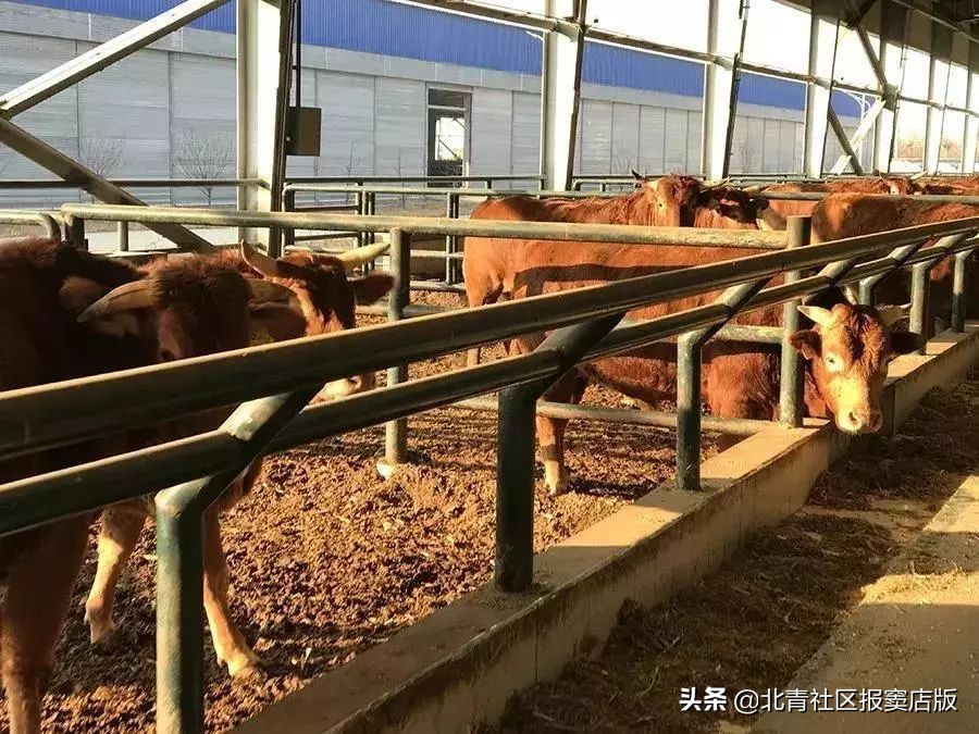 搜一搜就知道了,搜一搜商家会怎么样