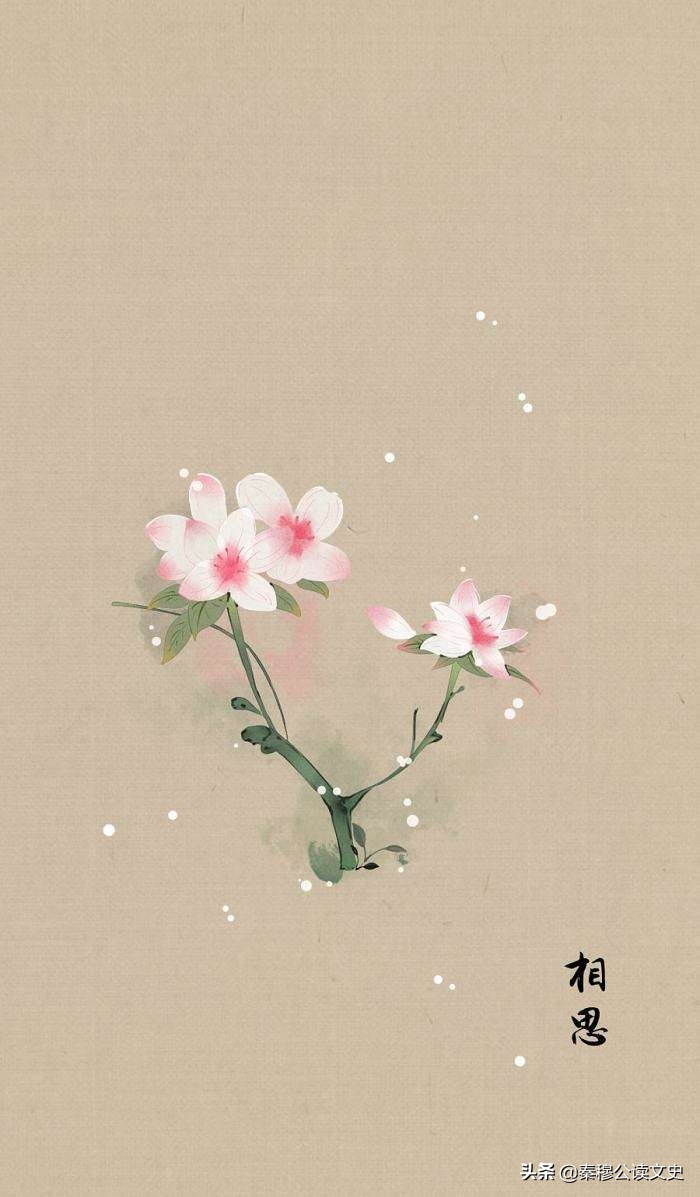 《桃夭》，你理想中的女子，影响千年的理念！