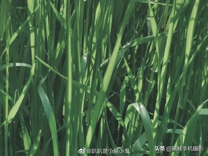 小米手机的遗憾之作,小米手机真香内行人都推荐这三款