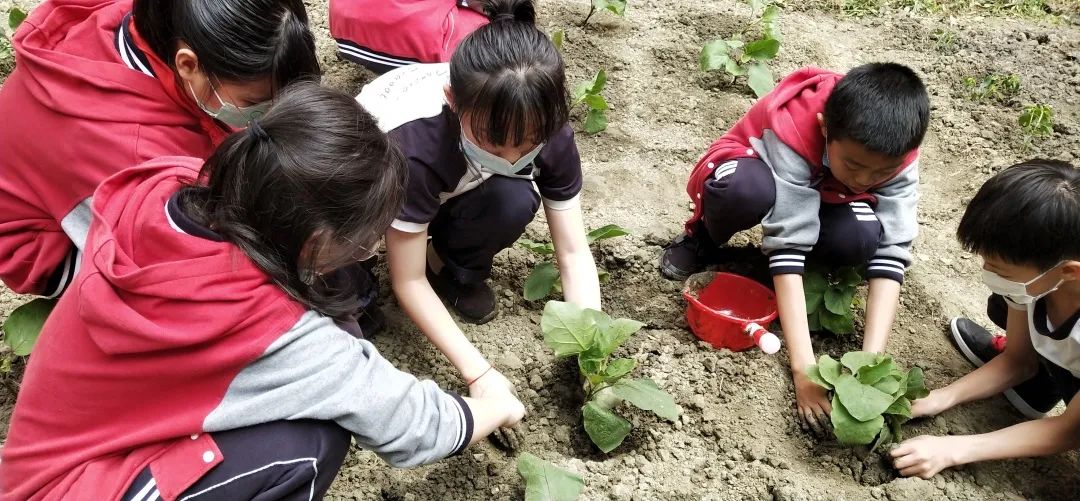 三原的“万有引力”，赢在口碑！今年高考，理科实验班班平606