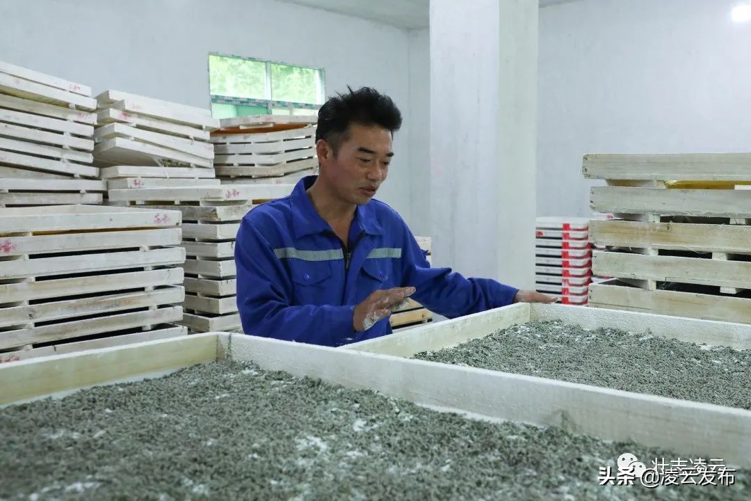 【走向我们的小康生活】一对创业致富贤伉俪——记凌云县加尤镇磨贤村刘正和、朱丽菊