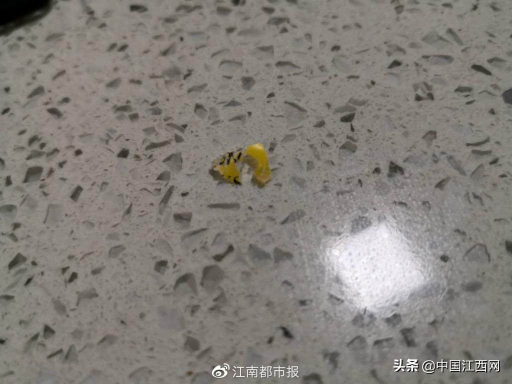 美素佳儿奶粉中竟发现黄色异物?南昌山姆会员店:不存在质量问题