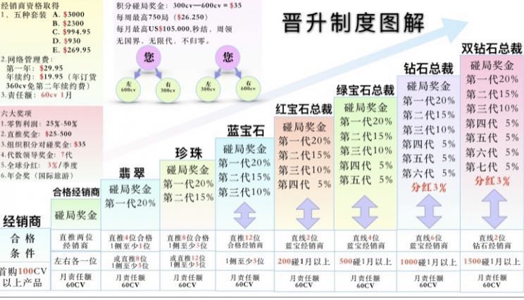 起底组织万人游瑞士的“婕斯”：有会员花上万美元“保级”换免费游