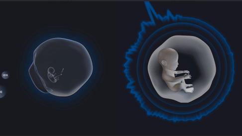 2022艺术类前景最好的十大专业,2021艺术专科十大最吃香专业