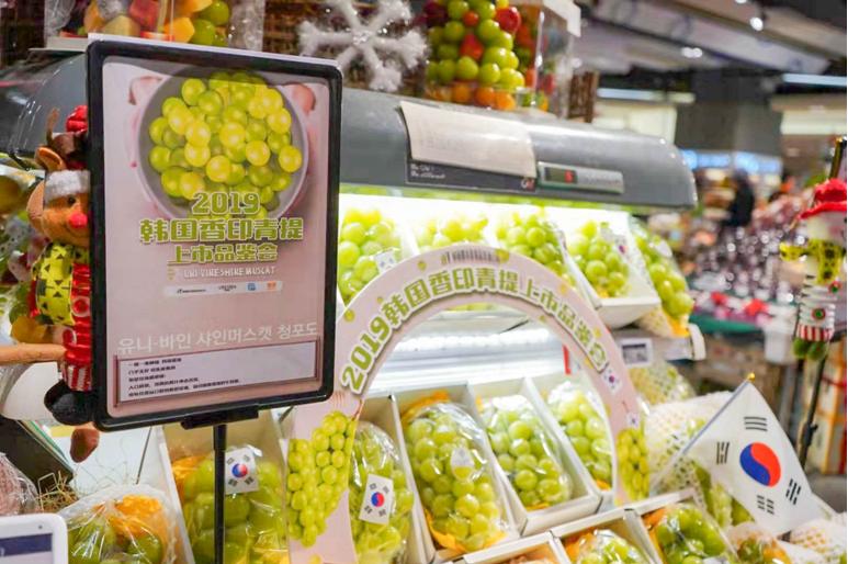 韩国香印青提介绍,寒冬凛冽韩文版