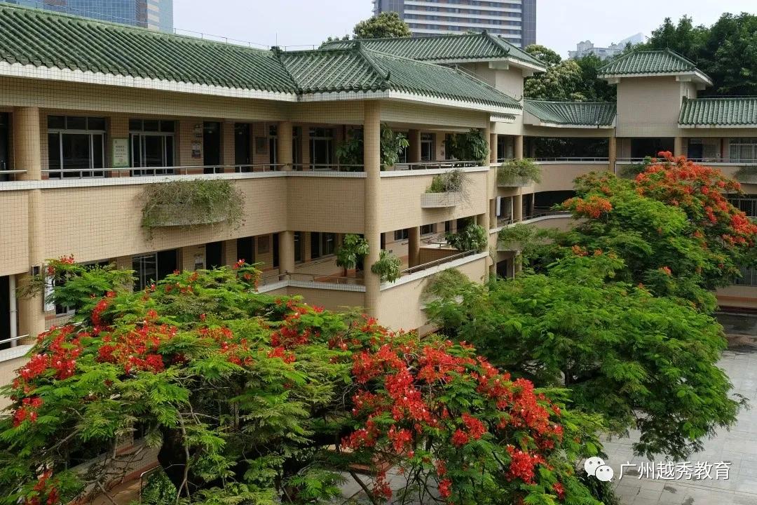 广州市华侨外国语学校排名,广州华侨外国语学校