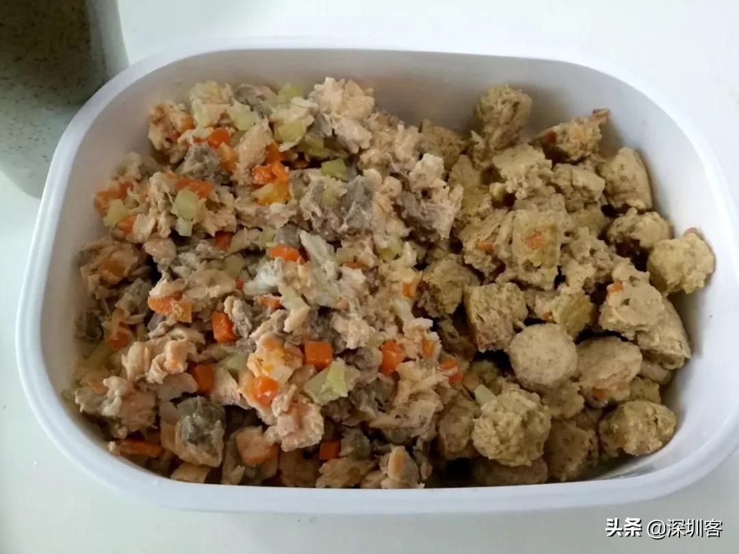 何以解忧唯有撸猫小说免费,金渐层何以解忧唯有撸猫