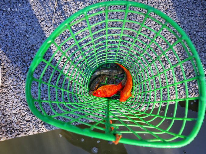 曹妃甸海上游,曹妃甸海上一日游哪里不错