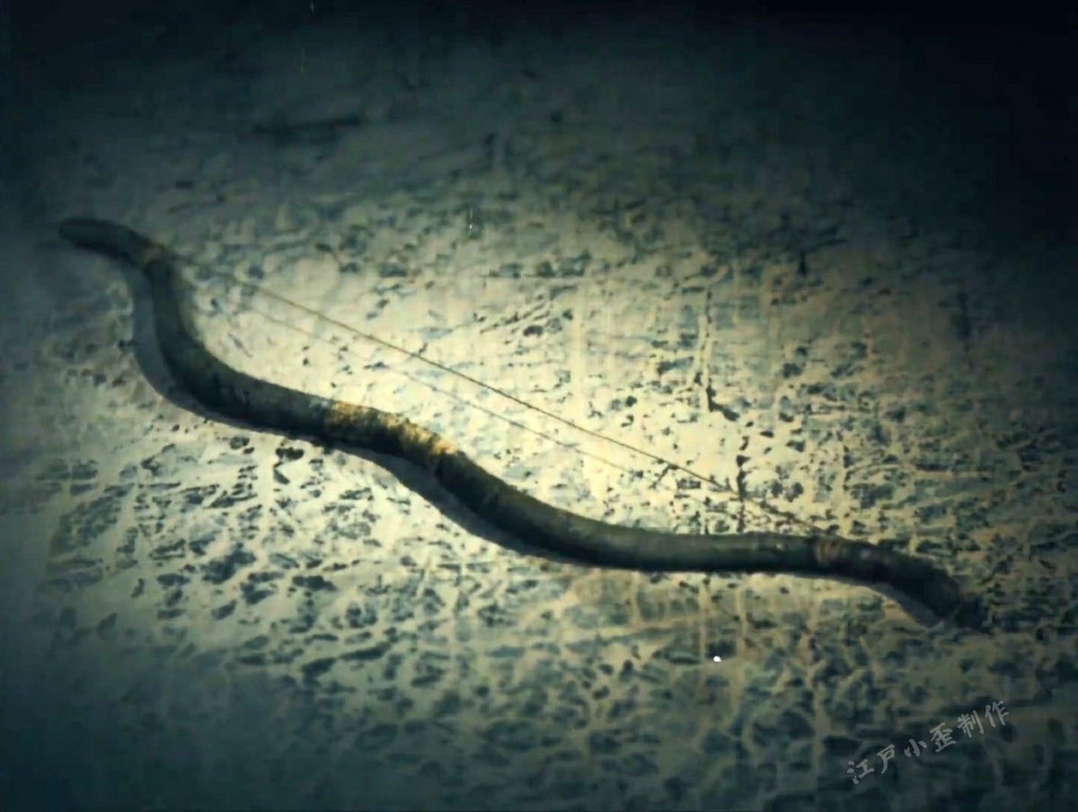 细思极恐无法遁逃后续,细思极恐完整版视频