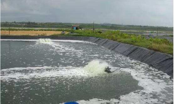 池塘浓黑水怎样调节水质,池塘水质浑浊怎么调节