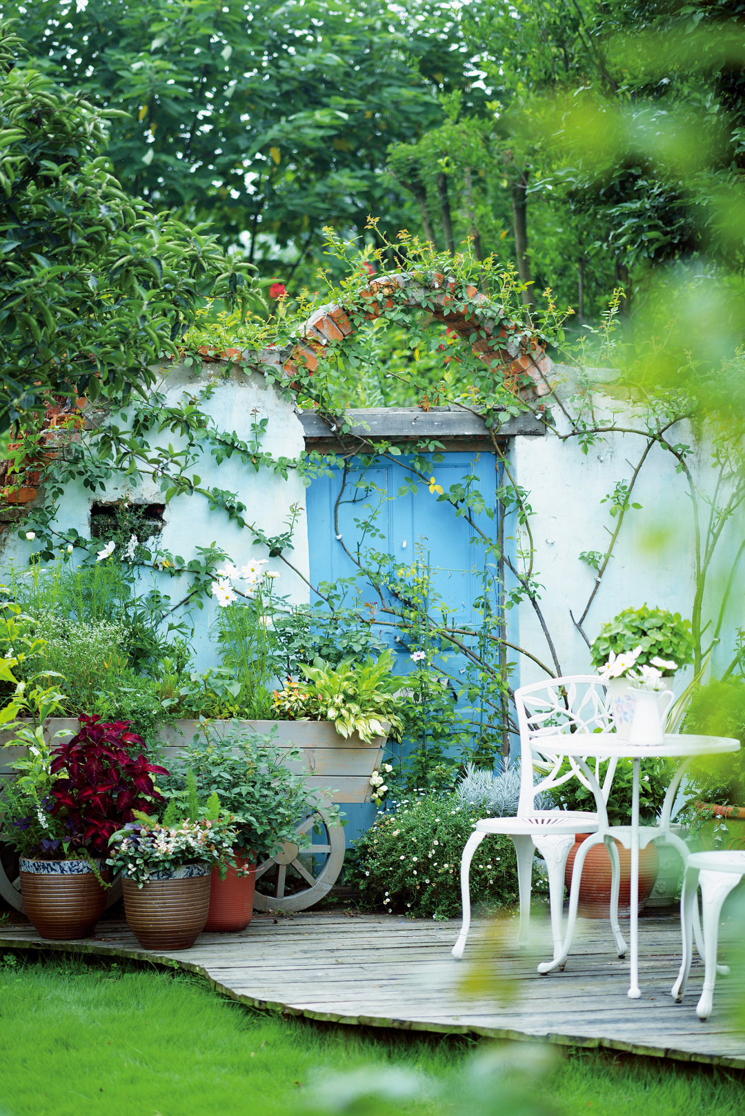爬藤植物怎么牵引造型,爬藤植物是怎么爬藤的
