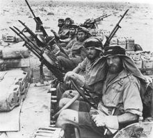 世界十大特种部队突击步枪,中国人民解放军十大特种部队