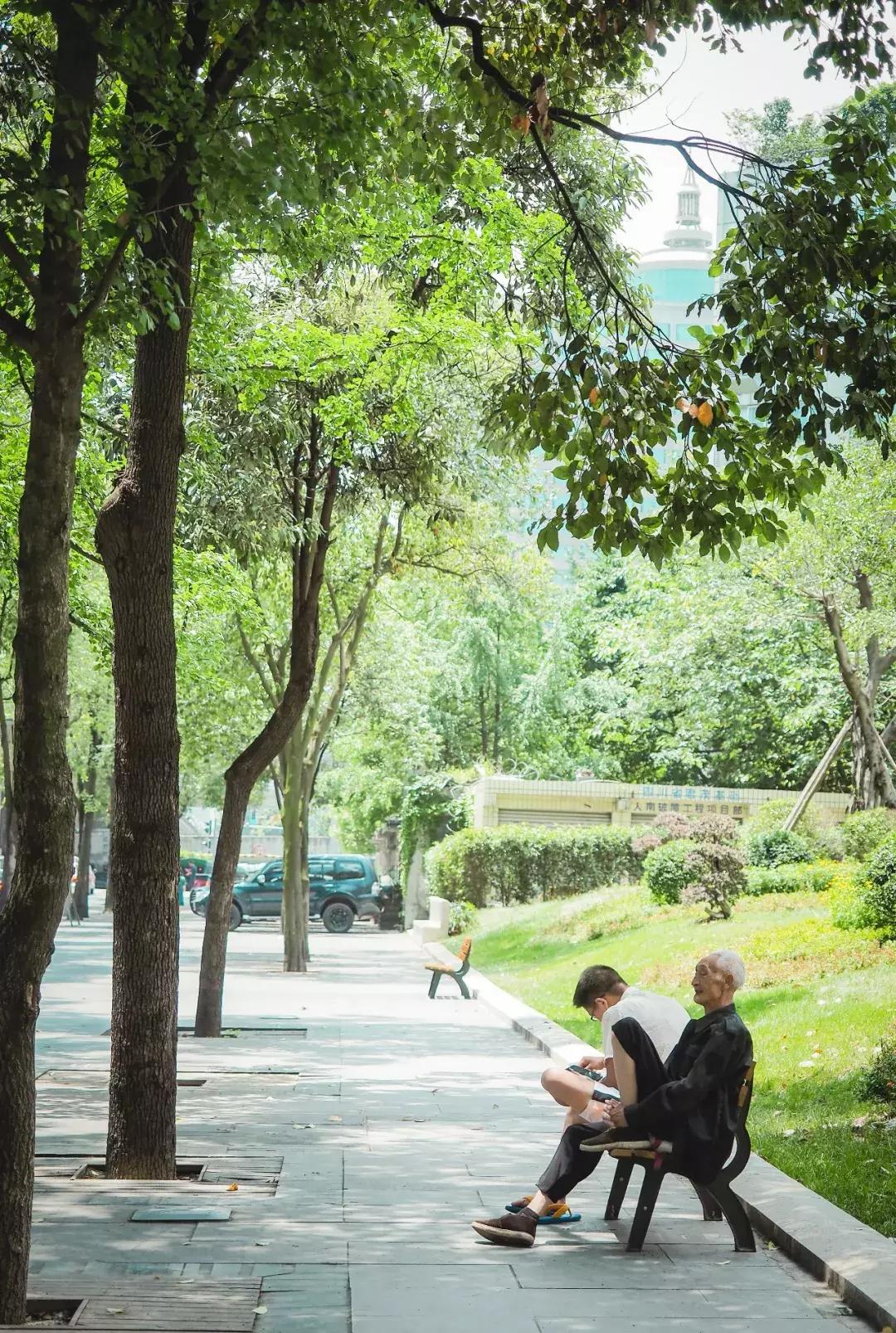 荷花池vs春熙路,成都荷花池攻略技巧