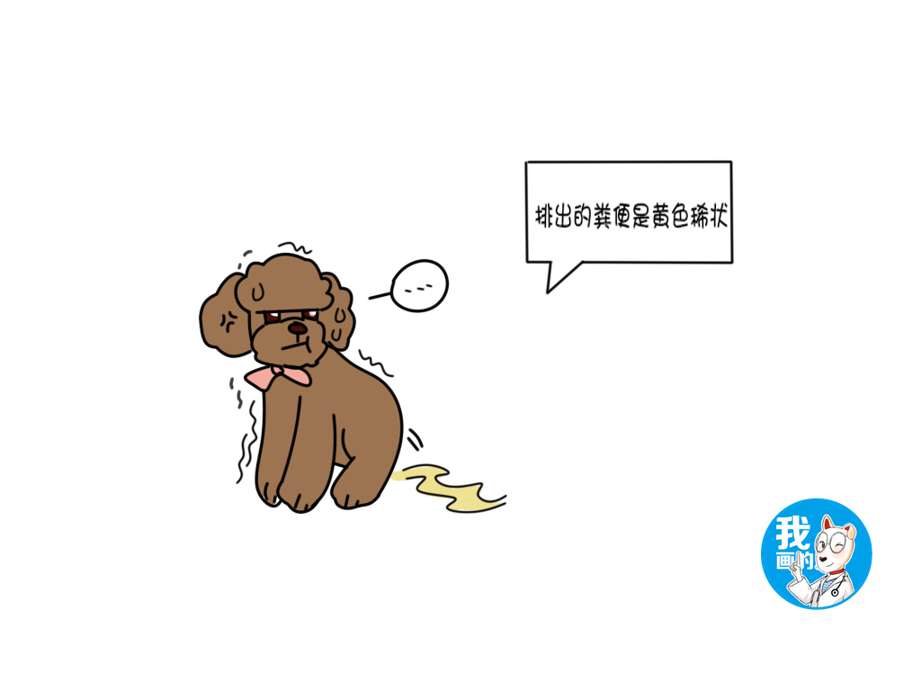 新生小狗患犬疱疹怎么治疗,刚出生22天的小狗疱疹怎么引起的