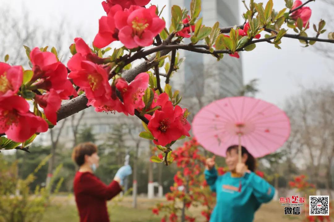 ​养眼！“棠贵妃”四姐妹笑起来真好看！