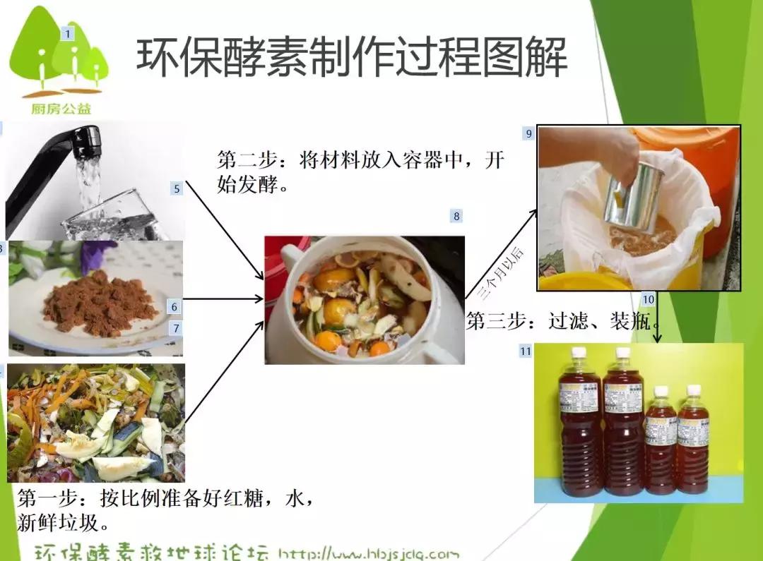 南通有位达人,7年来,果皮菜叶从未丢出门